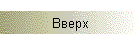 Вверх